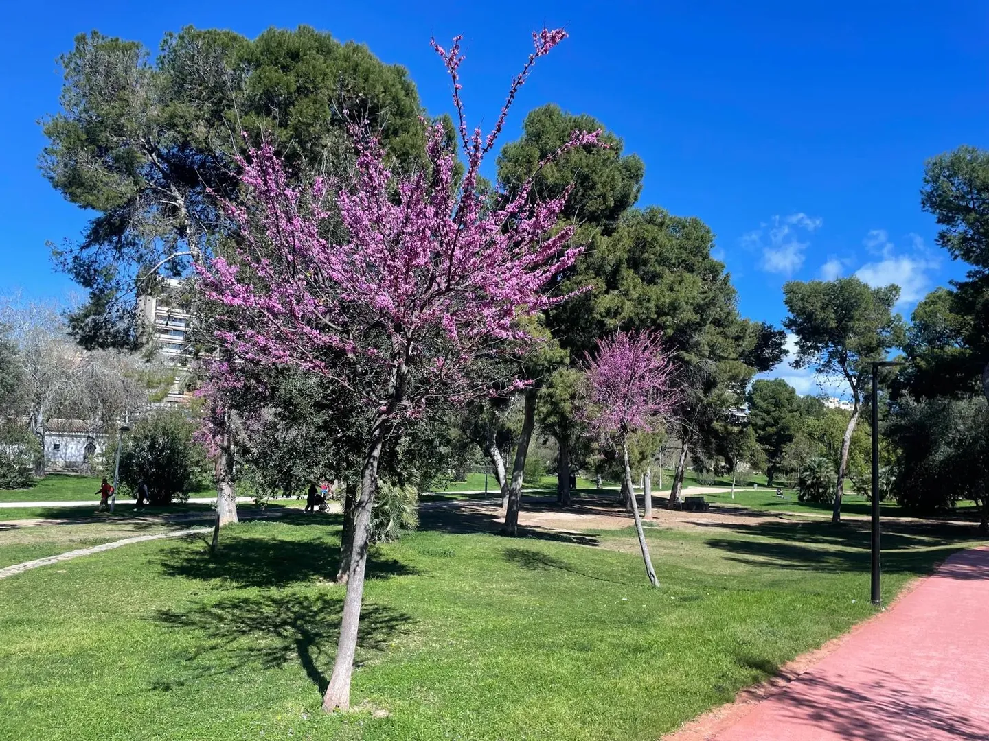 Parque Central Valencia Ruzafa