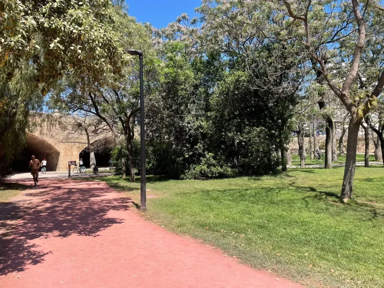 Grüner Abschnitt im Turia-Park in Valencia