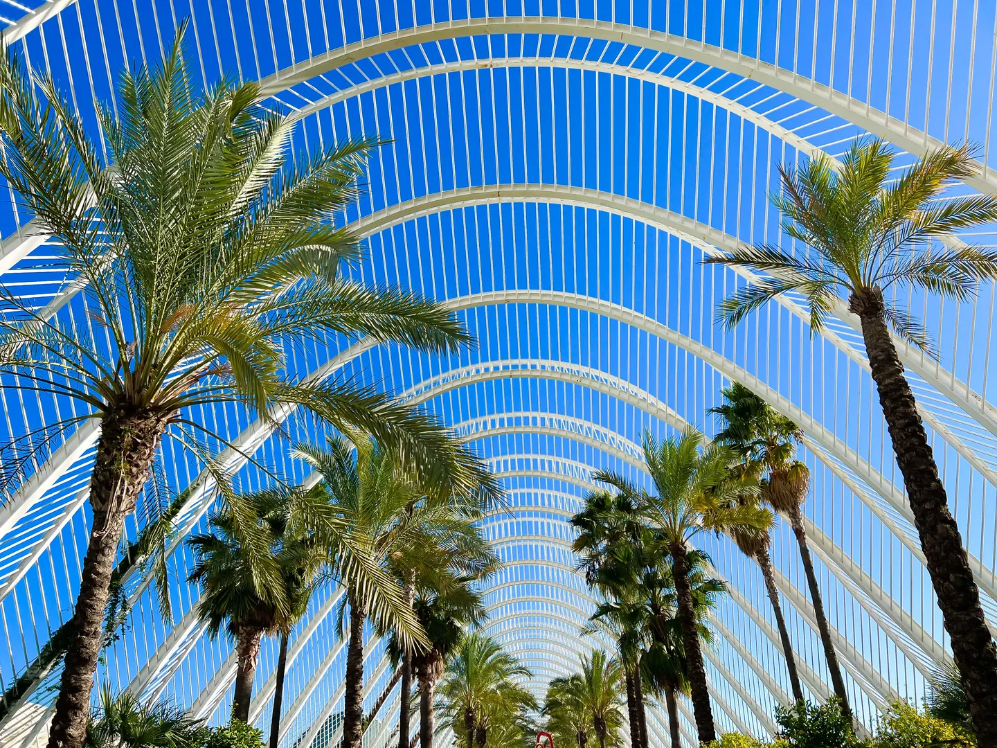Valencia Guide Erstbesucher