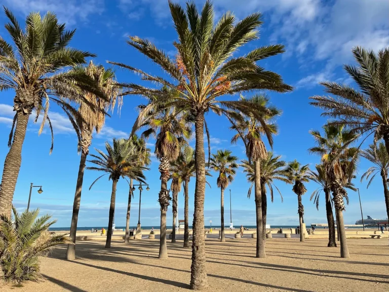 Valencia August Ferienwohnung