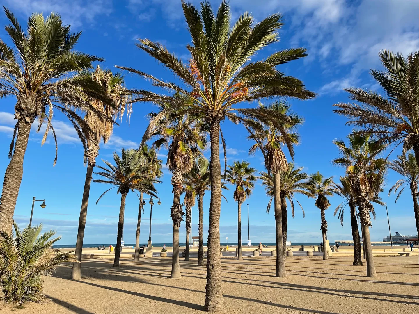 Valencia August Ferienwohnung